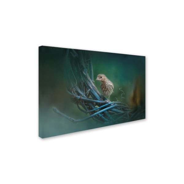 Jai Johnson 'A Little Brown Bird On A Little Blue Wreath' Canvas Art,22x32